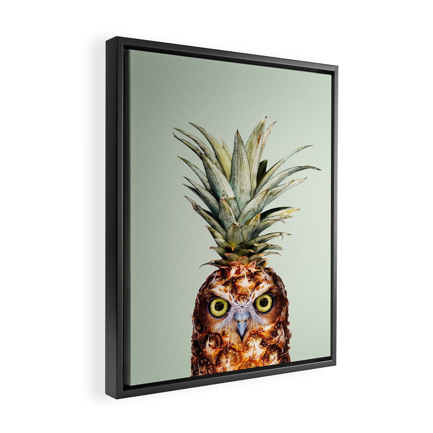 PINEAPPLE OWL Framed Canvas Print Gallery Image 2