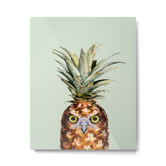 PINEAPPLE OWL Metal Print Gallery Image 1
