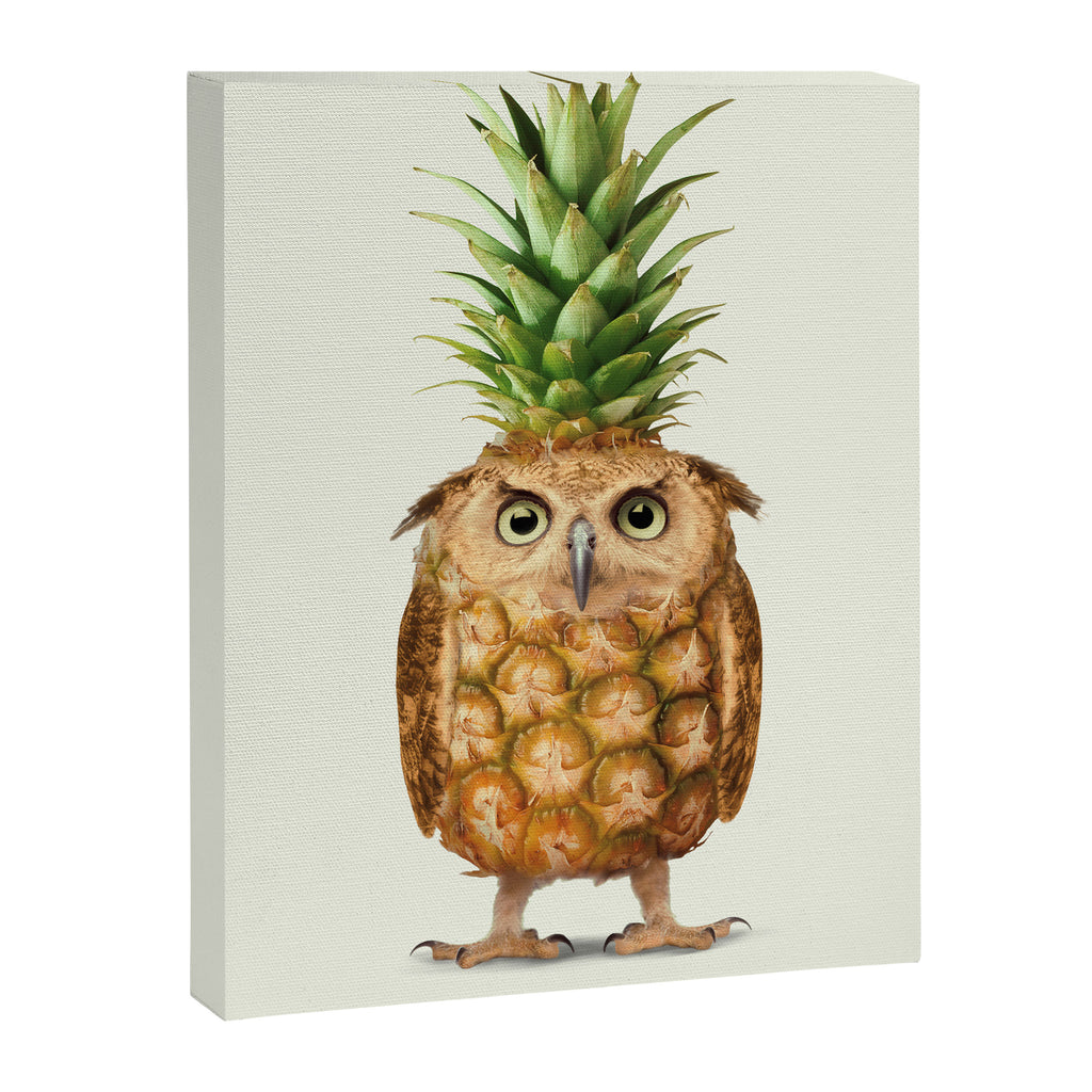 Pineappowl Canvas Print Gallery Image 6
