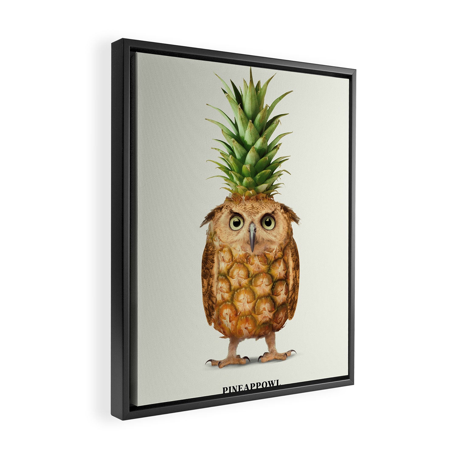 Pineappowl Framed Canvas Print Gallery Image 2