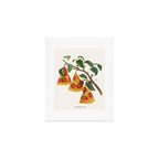 Pizza Plant Art Print Gallery Image 1