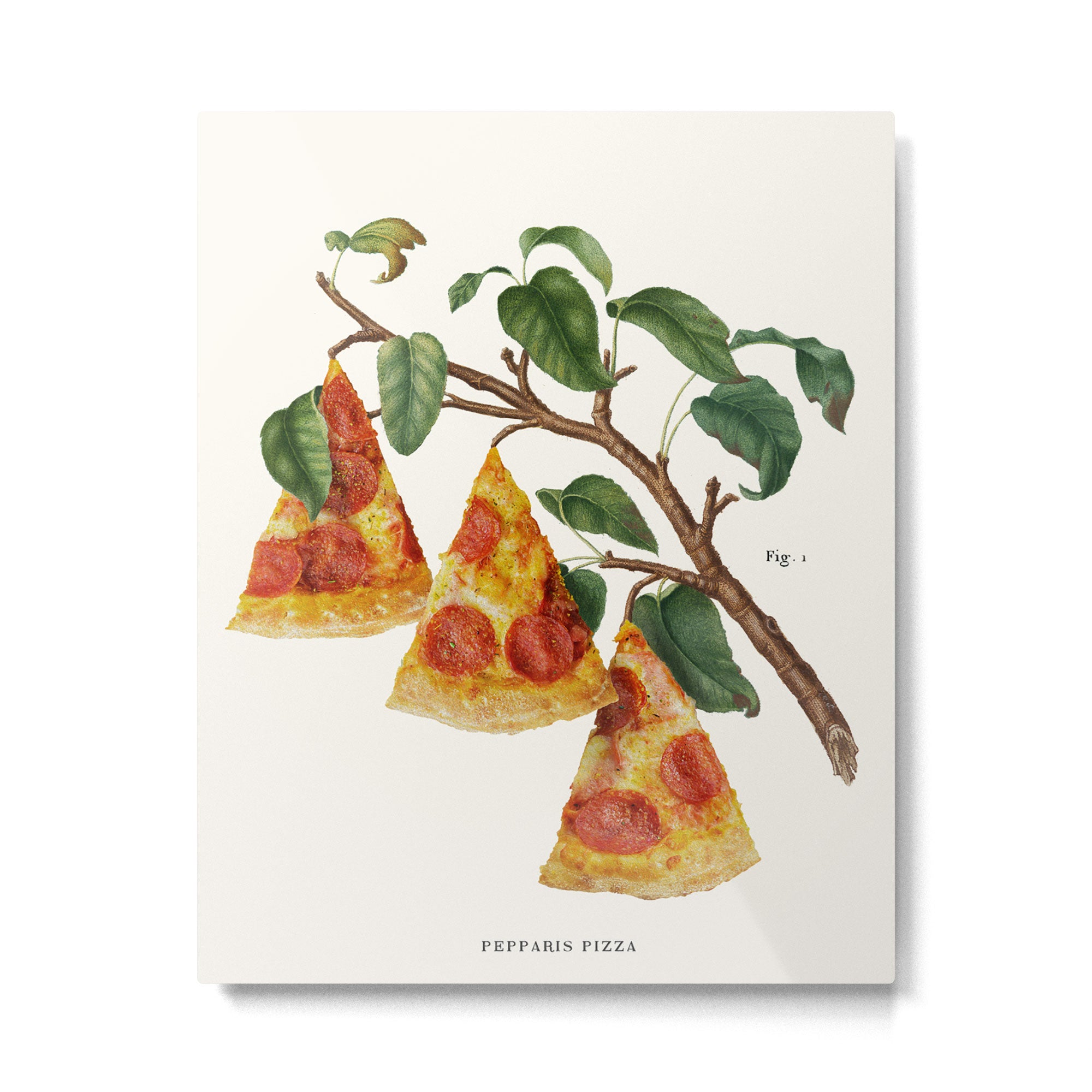 Pizza Plant Metal Print Gallery Image 4
