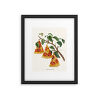 Pizza Plant Framed Art Print Gallery Image 5