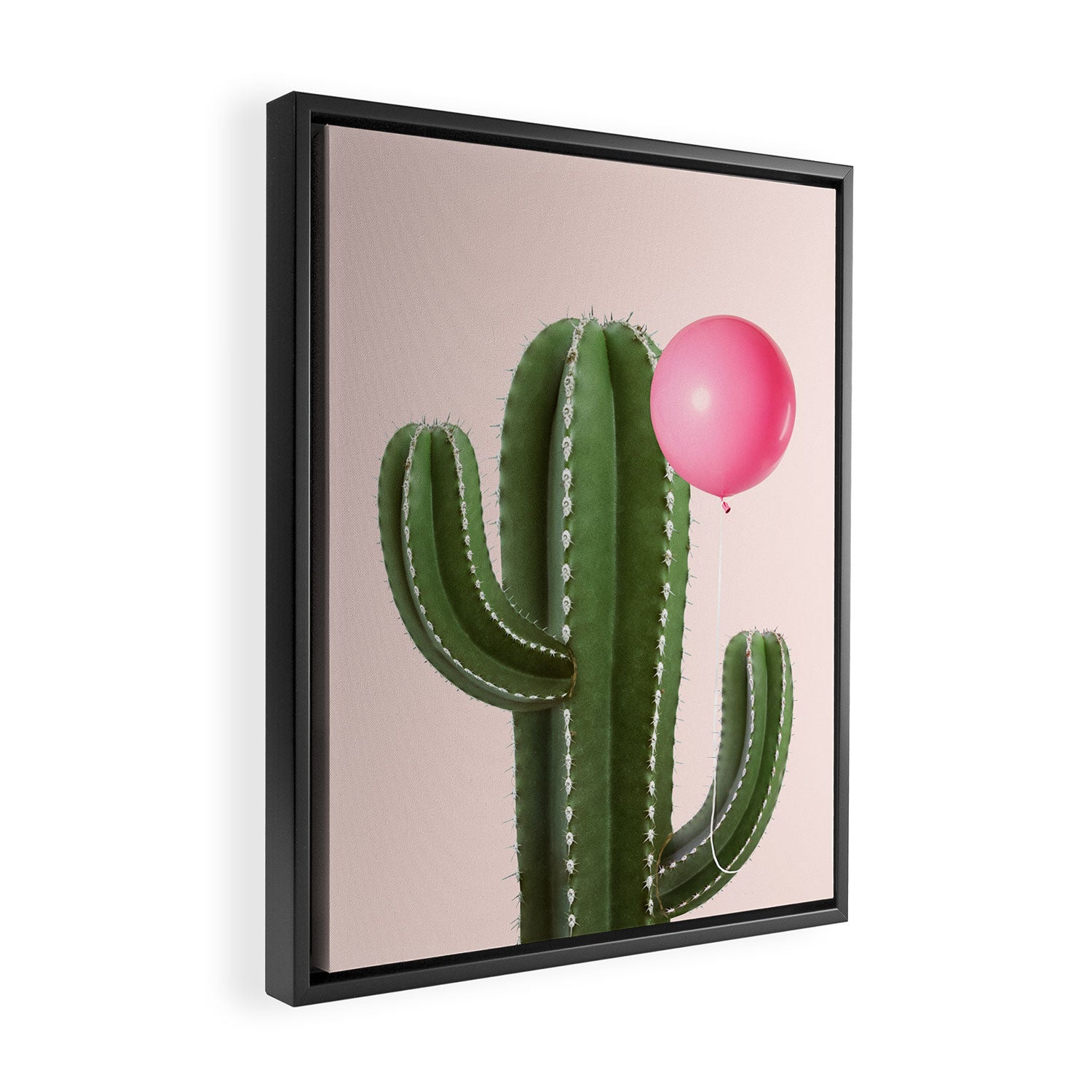 PRICKLY FRIENDS Framed Canvas Print Gallery Image 2