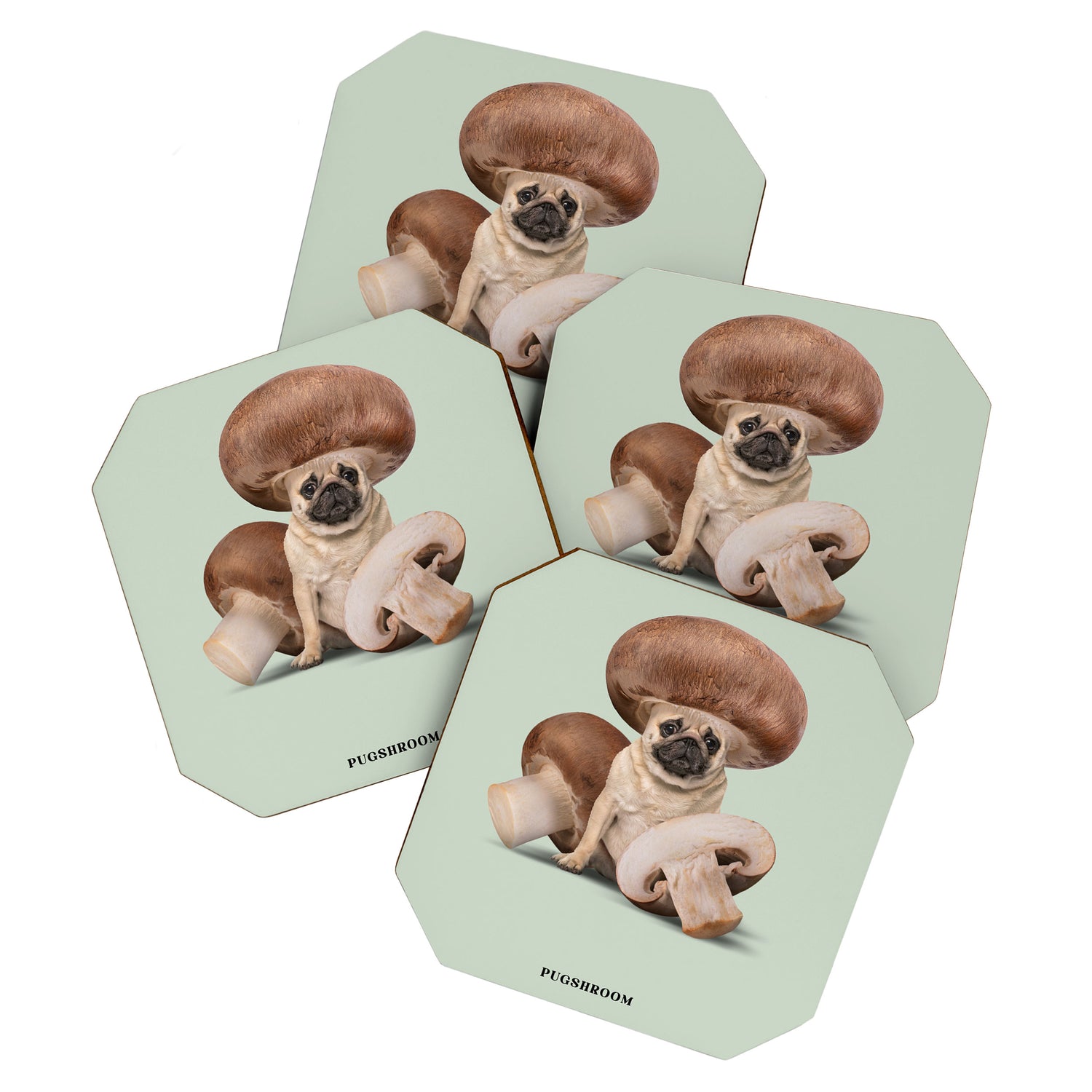 Pugshroom Coaster Gallery Image 1
