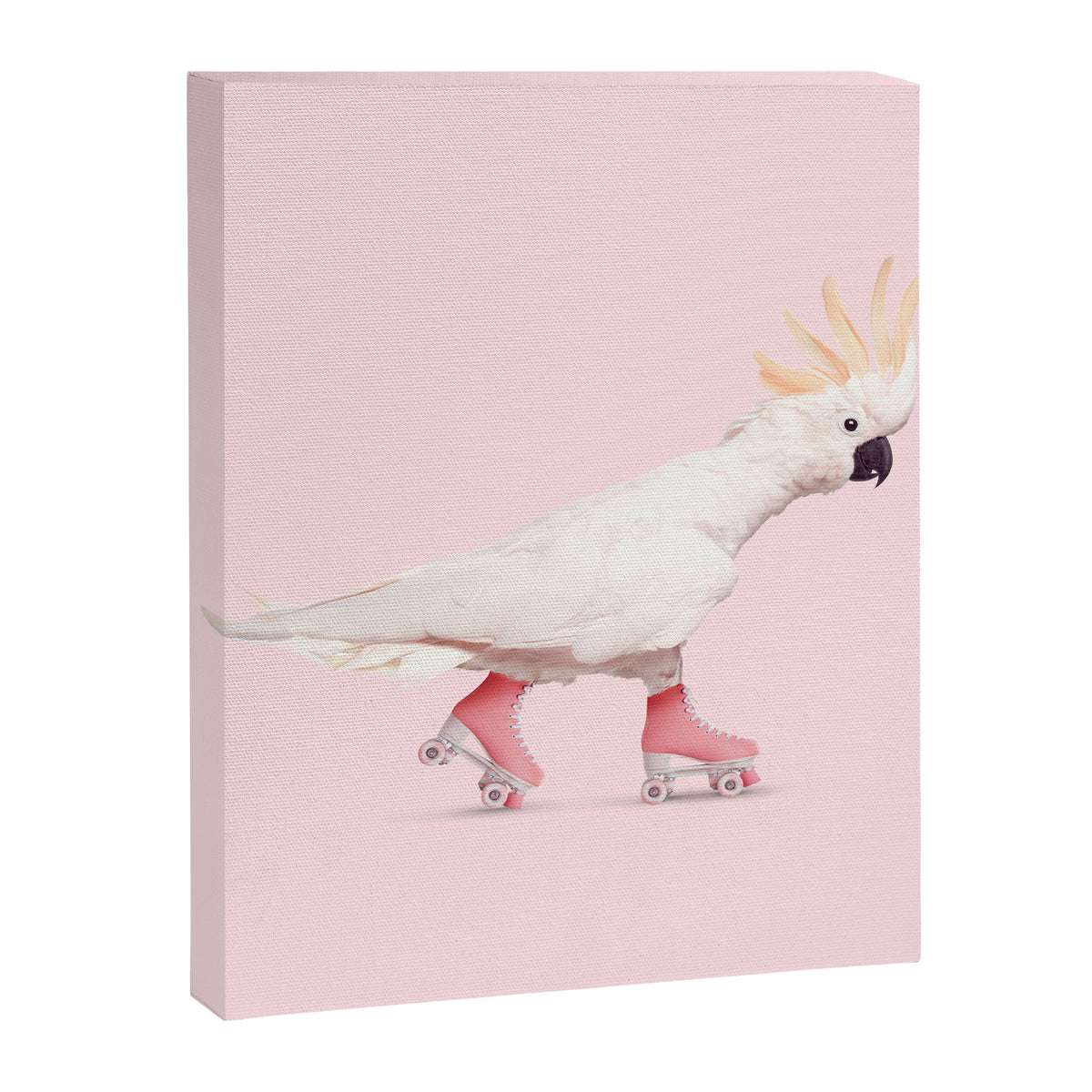 ROLLERSKATING COCKATOO Canvas Print Gallery Image 6