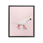 ROLLERSKATING COCKATOO Framed Canvas Print Gallery Image 6