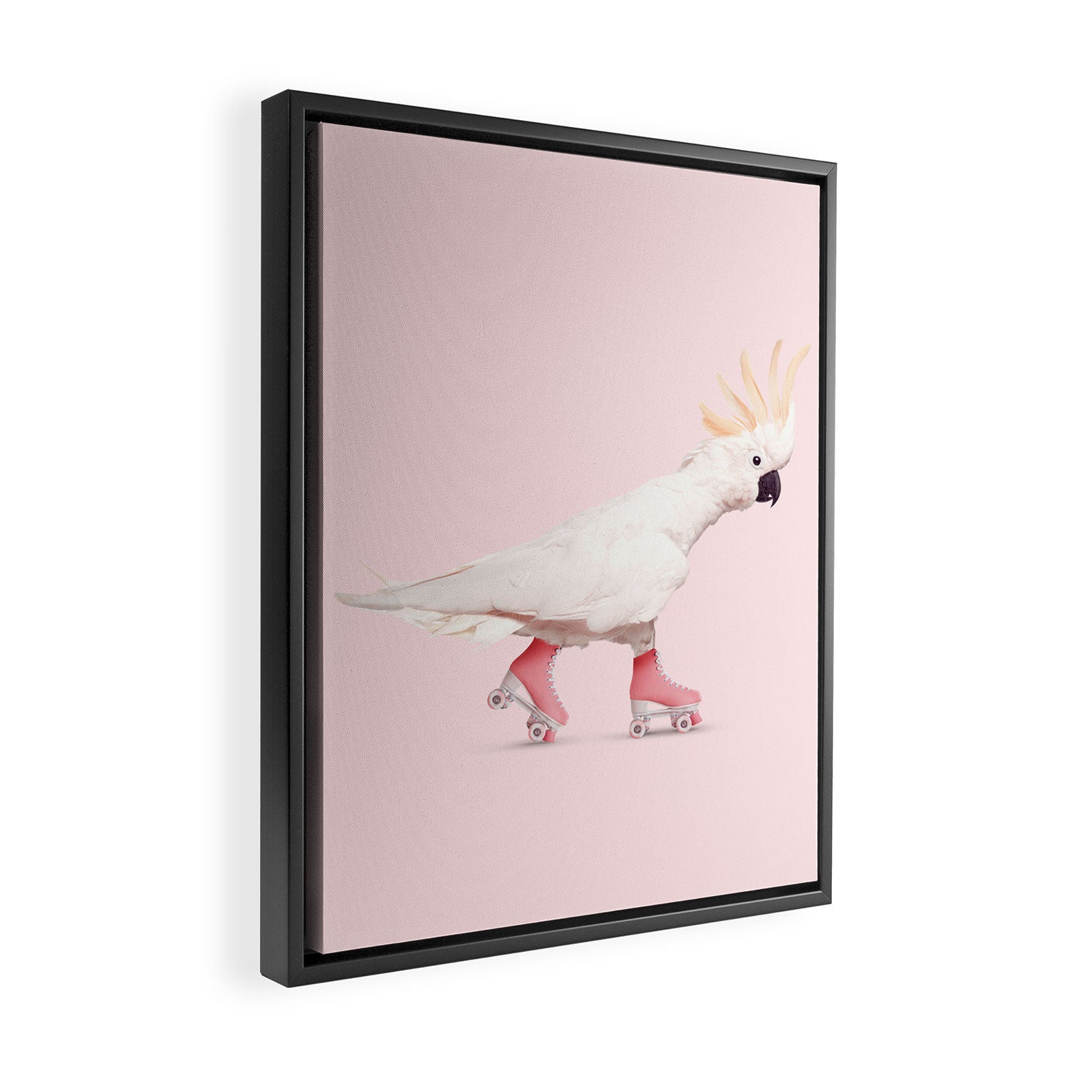 ROLLERSKATING COCKATOO Framed Canvas Print Gallery Image 2