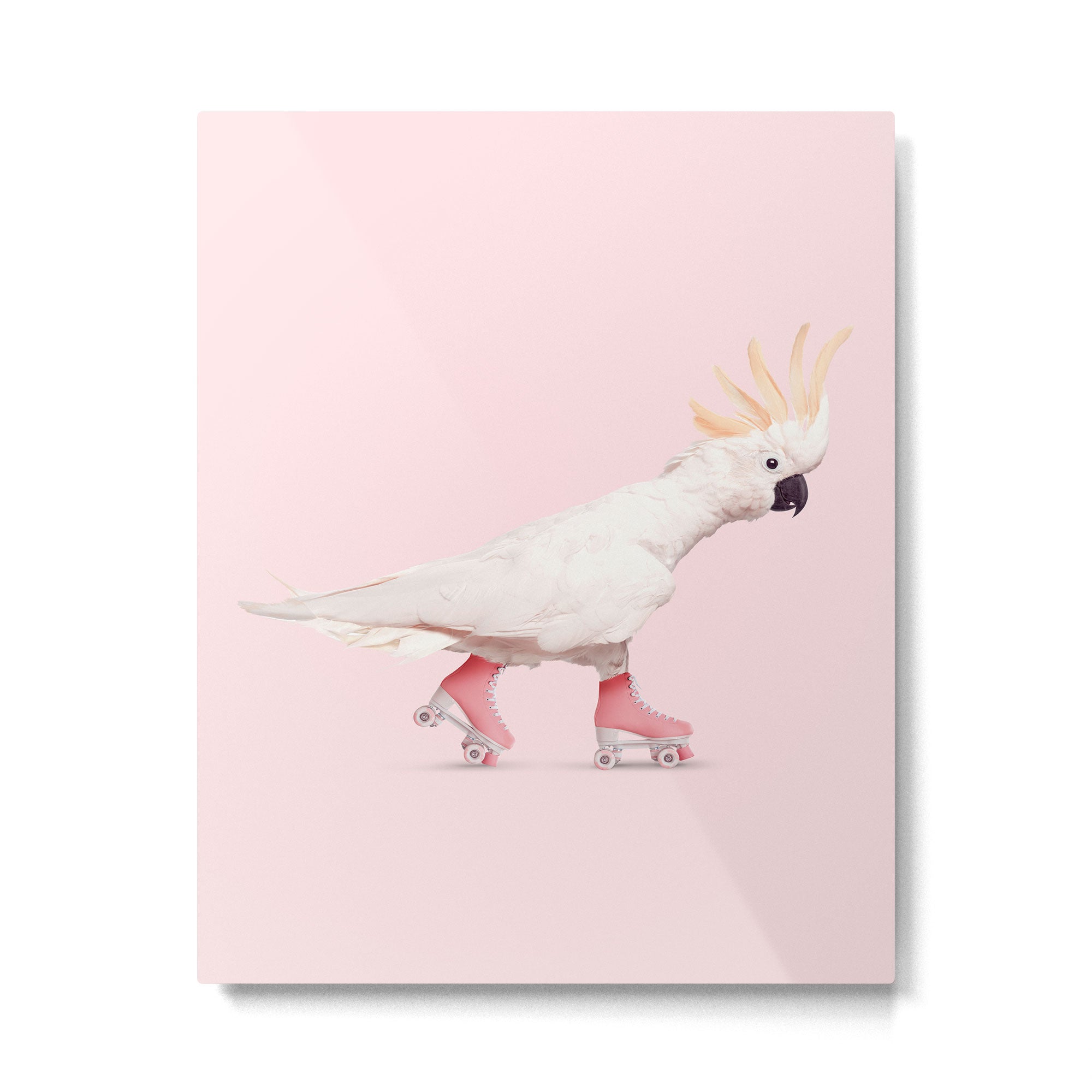 ROLLERSKATING COCKATOO Metal Print Gallery Image 4