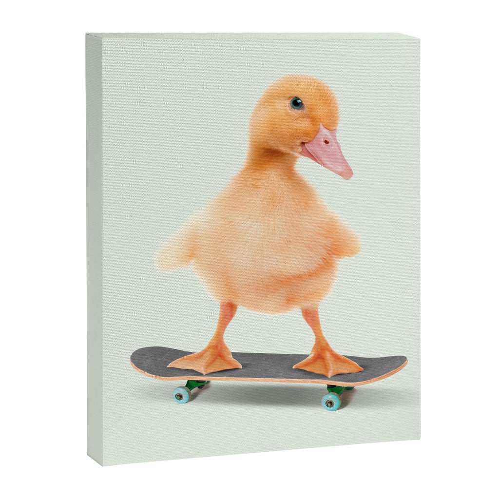 Skateboarding Duck Canvas Print Gallery Image 6