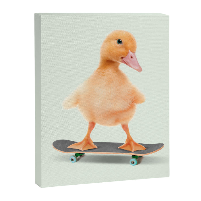 Skateboarding Duck Canvas Print Gallery Image 1