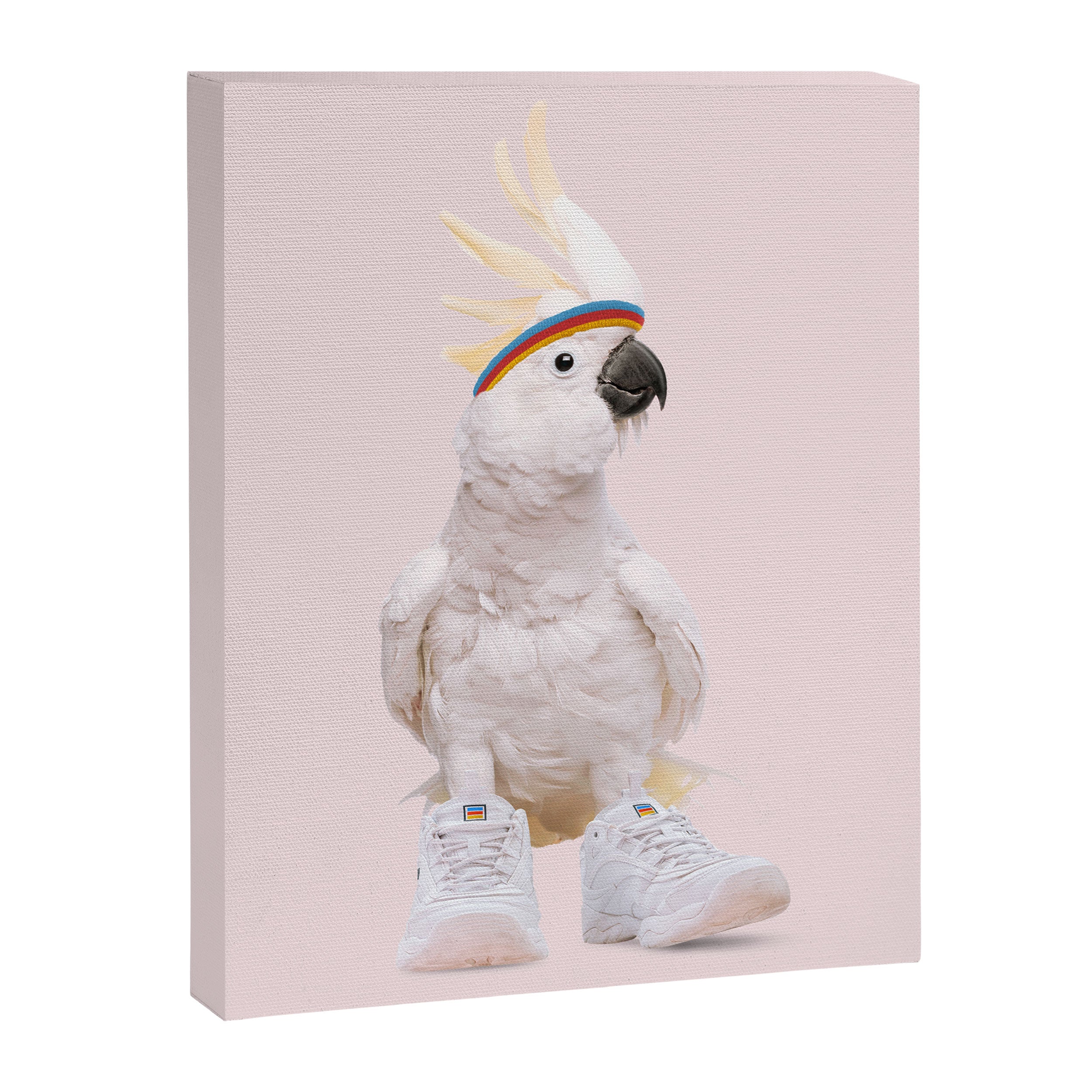 SNEAKER COCKATOO Canvas Print Gallery Image 3