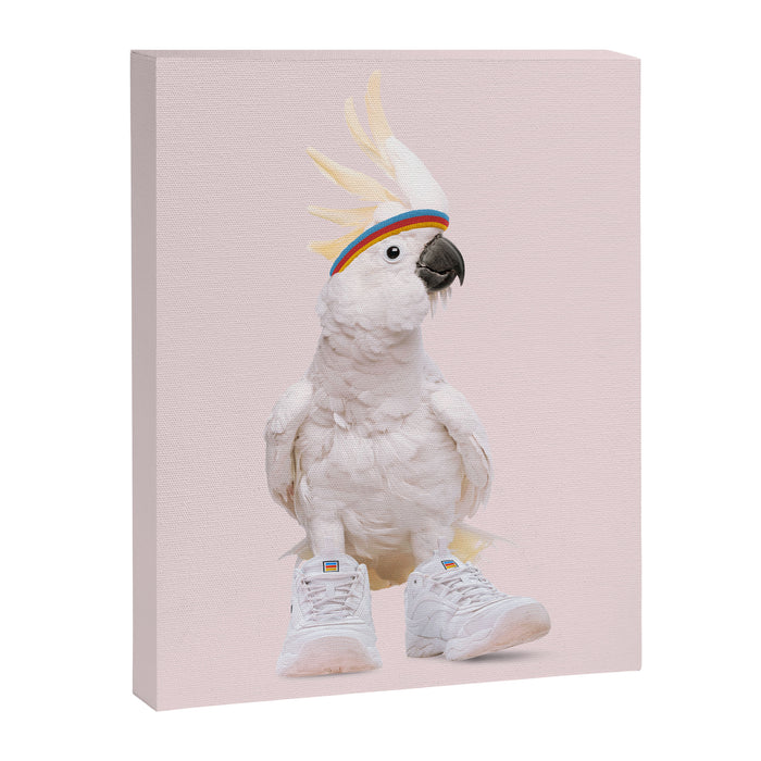 SNEAKER COCKATOO Canvas Print Gallery Image 1