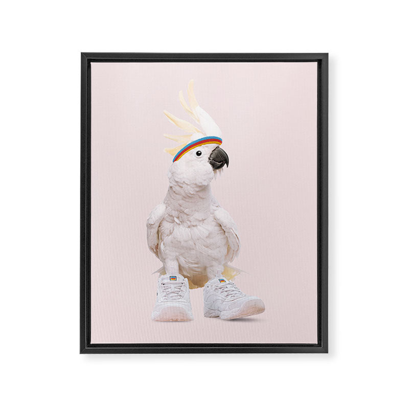 SNEAKER COCKATOO Framed Canvas Print Gallery Image 6