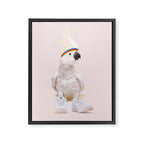SNEAKER COCKATOO Framed Canvas Print Gallery Image 6