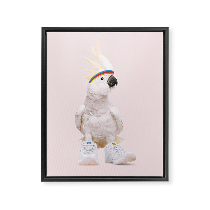SNEAKER COCKATOO Framed Canvas Print Gallery Image 1