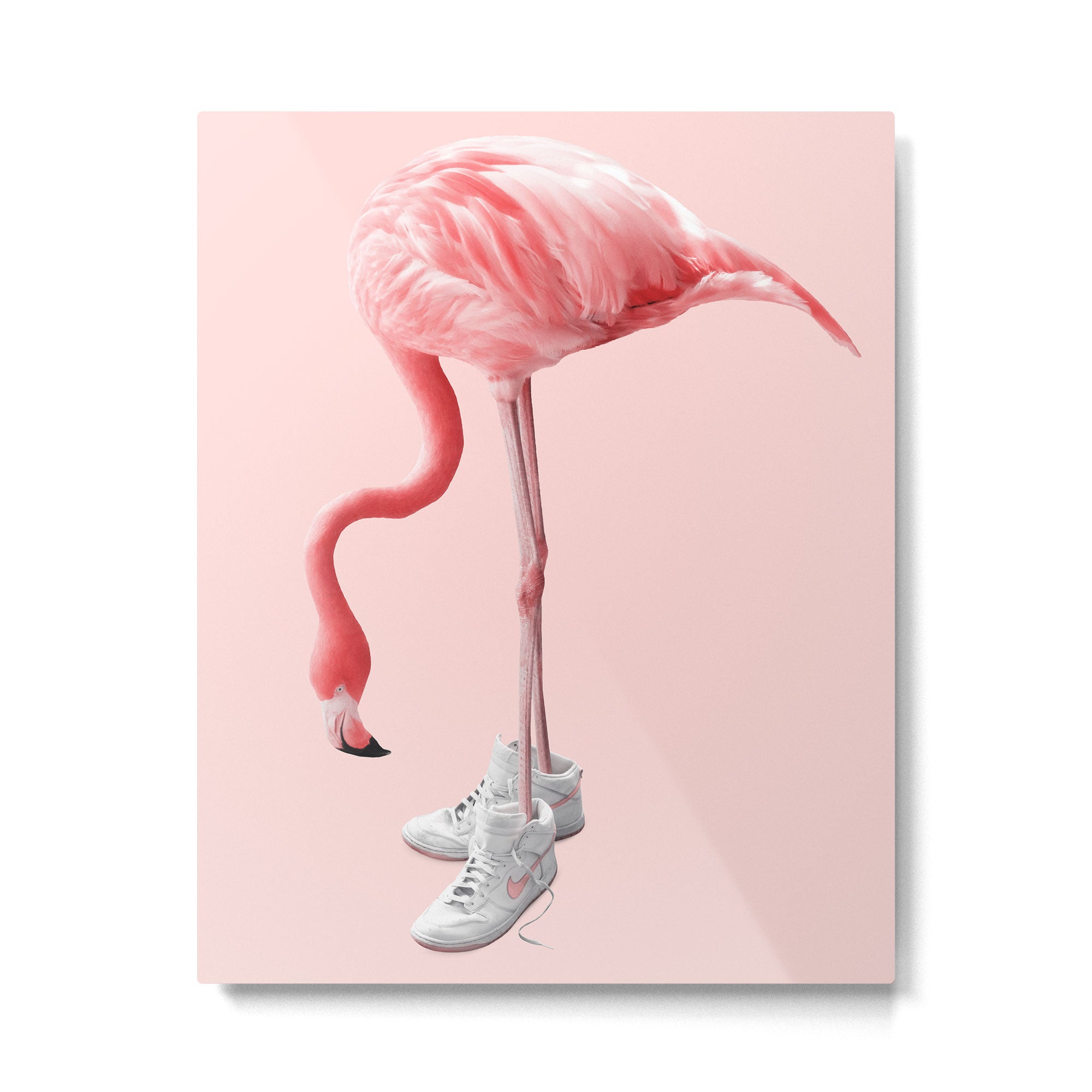SNEAKER FLAMINGO Metal Print Gallery Image 4