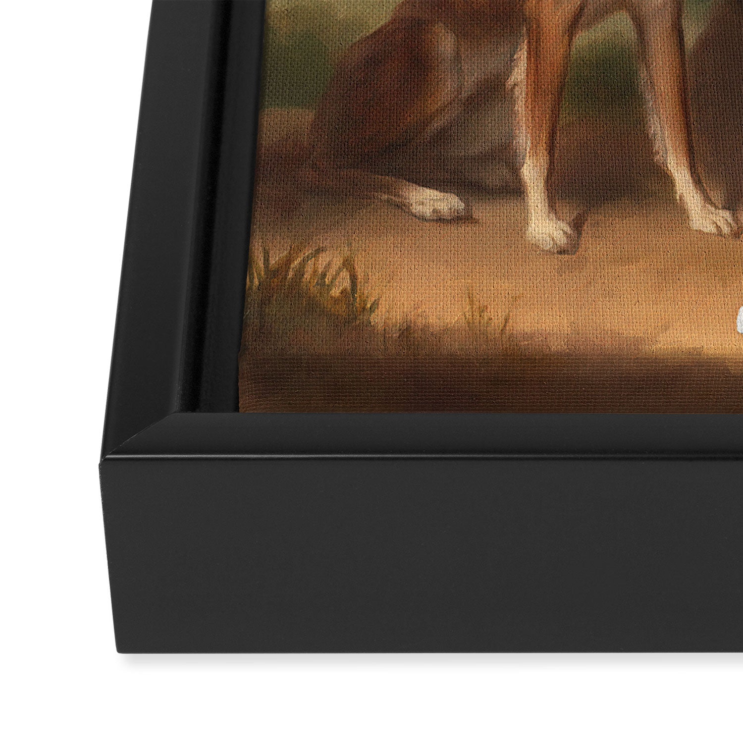 SNEAKER KING Framed Canvas Print Gallery Image 3