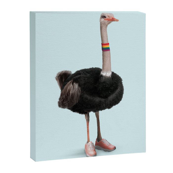 Sporty Ostrich Canvas Print Gallery Image 1