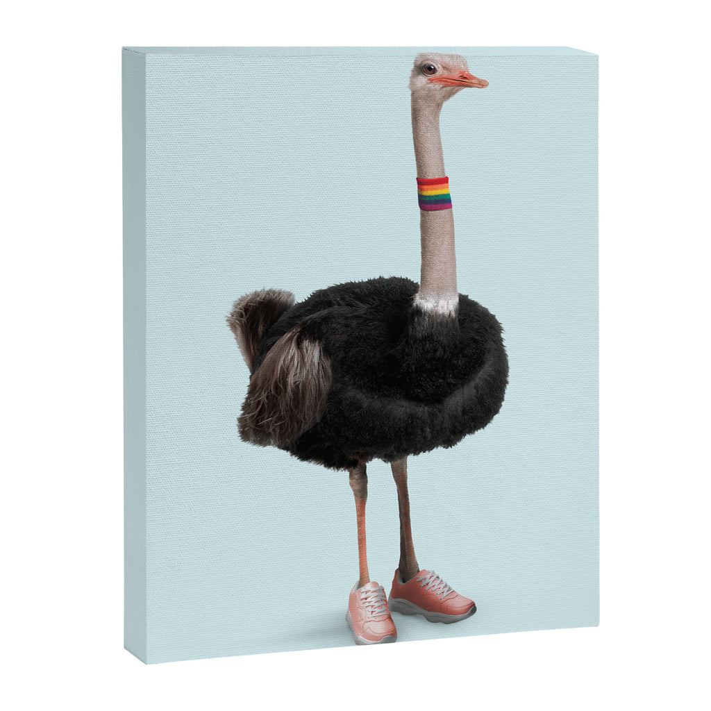 Sporty Ostrich Canvas Print Gallery Image 6