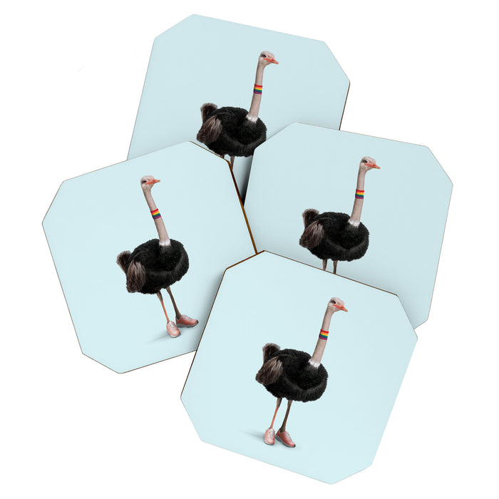 Sporty Ostrich Coaster Gallery Image 1