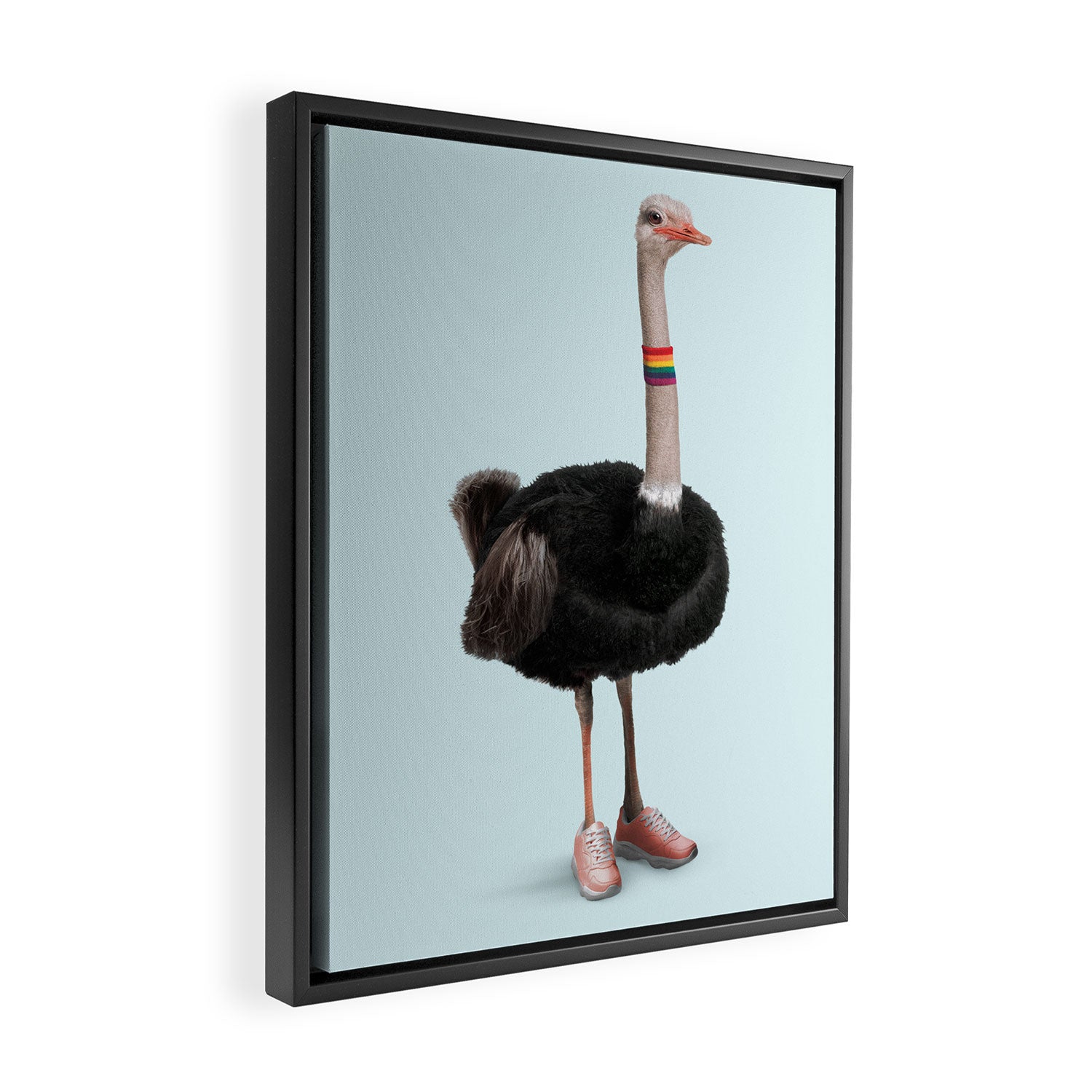 Sporty Ostrich Framed Canvas Print Gallery Image 2