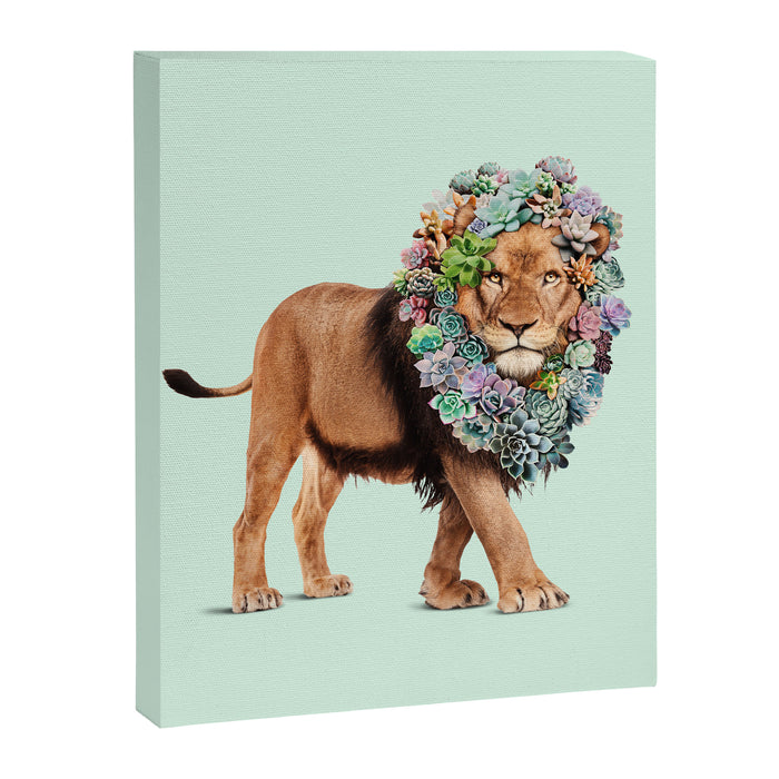 SUCCULENT LION Canvas Print Gallery Image 1