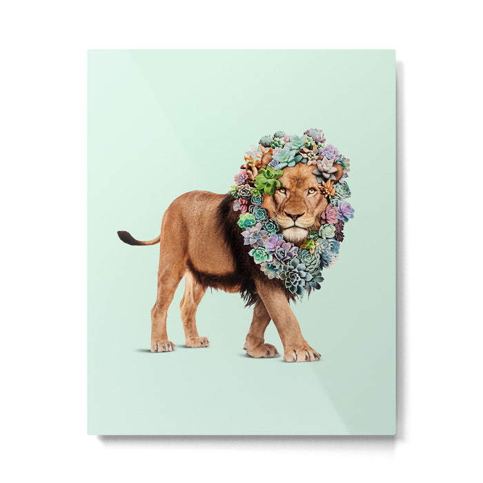SUCCULENT LION Metal Print Gallery Image 1