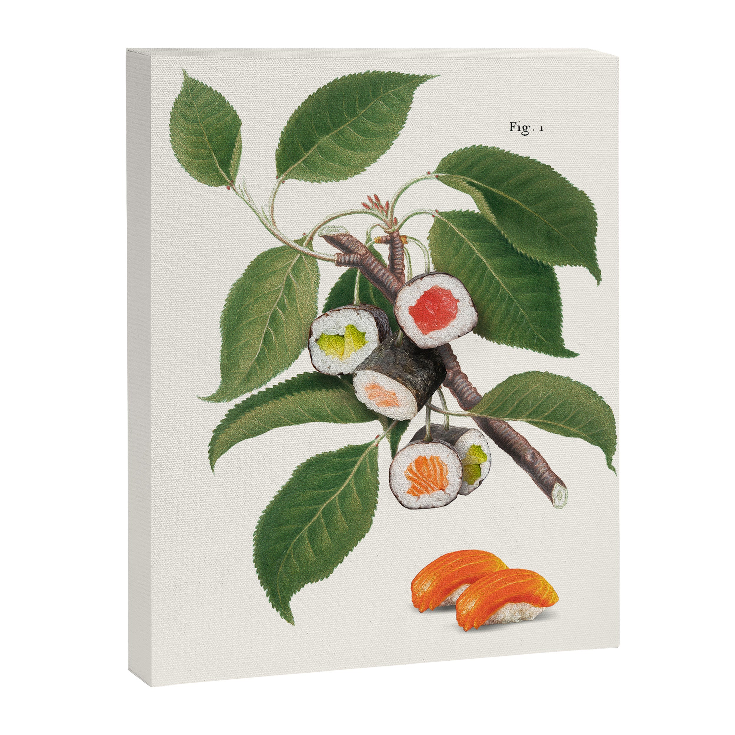 Sushi Plant Canvas Print Gallery Image 6