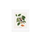 Sushi Plant Art Print Gallery Image 1