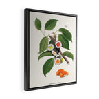 Sushi Plant Framed Canvas Print Gallery Image 2