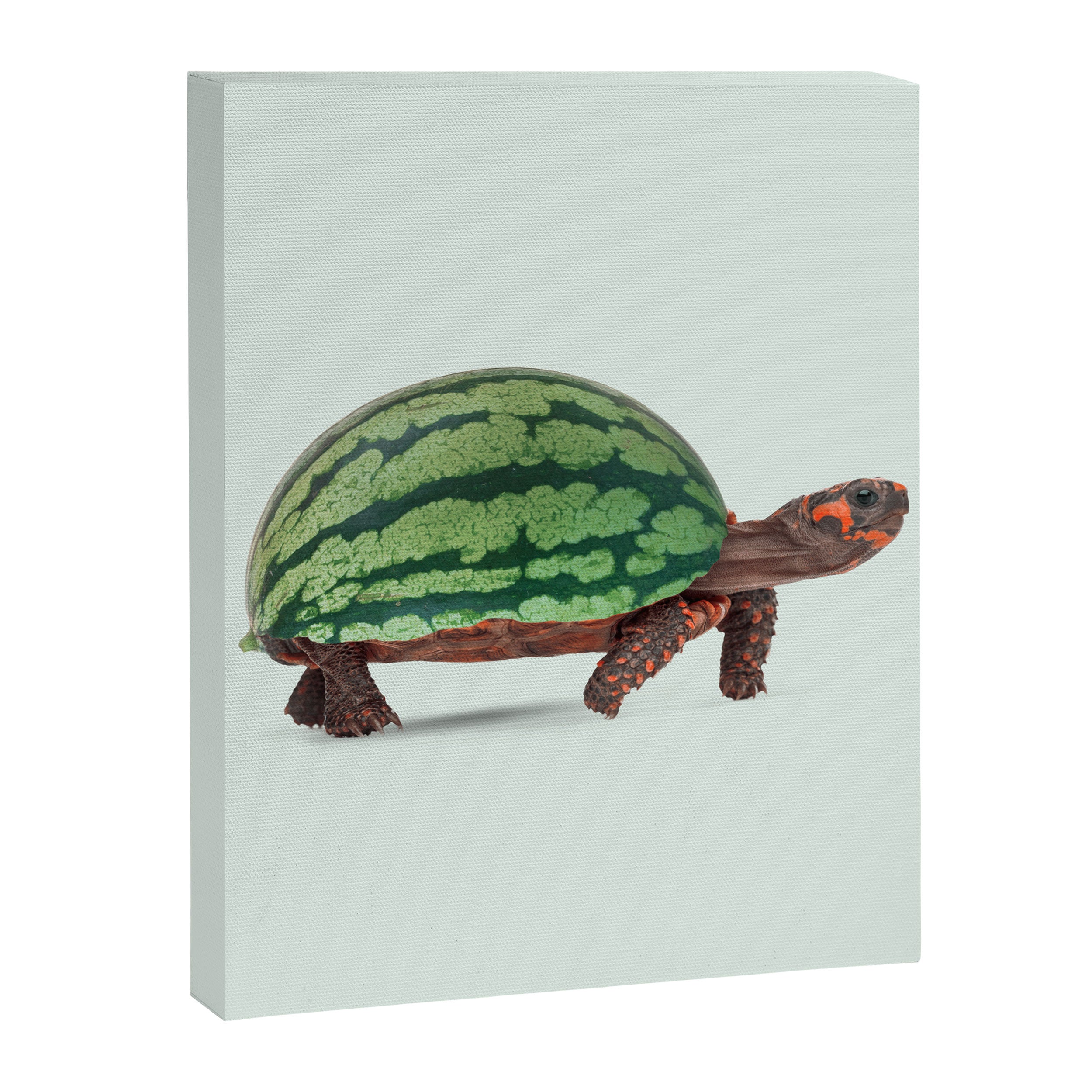 Turmelon Canvas Print Gallery Image 6