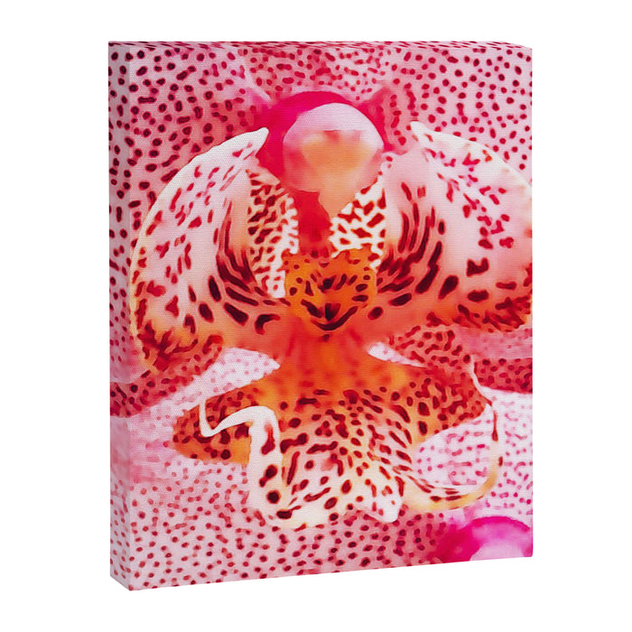 Close up Orchid 37 Canvas Print Gallery Image 1