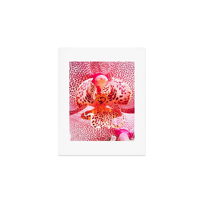 Close up Orchid 37 Art Print Gallery Image 1