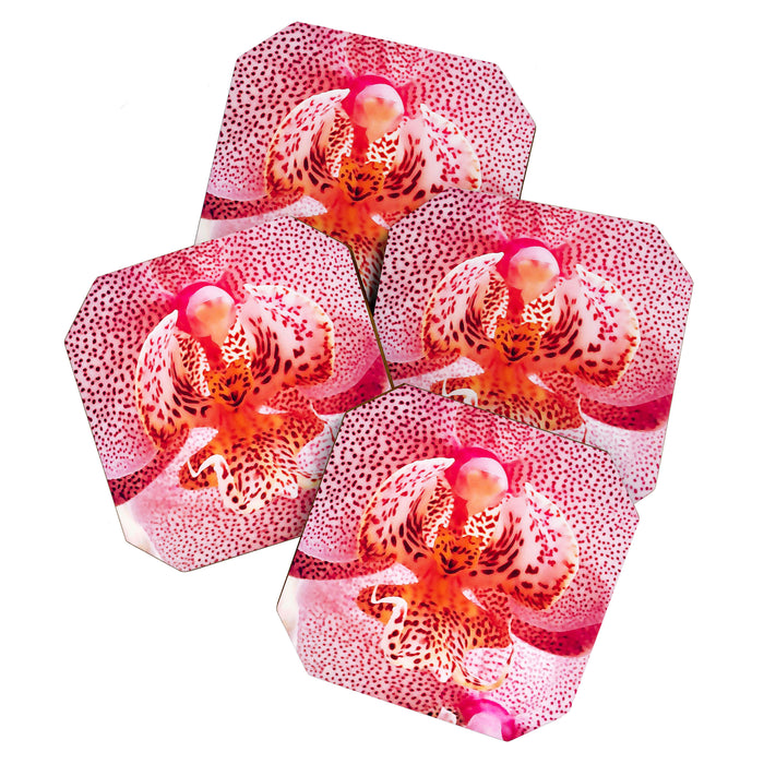 Close up Orchid 37 Coaster Gallery Image 1