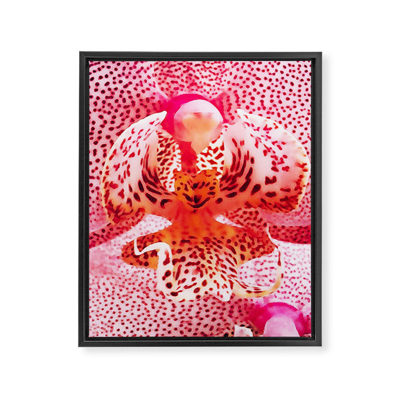 Close up Orchid 37 Framed Canvas Print Gallery Image 8
