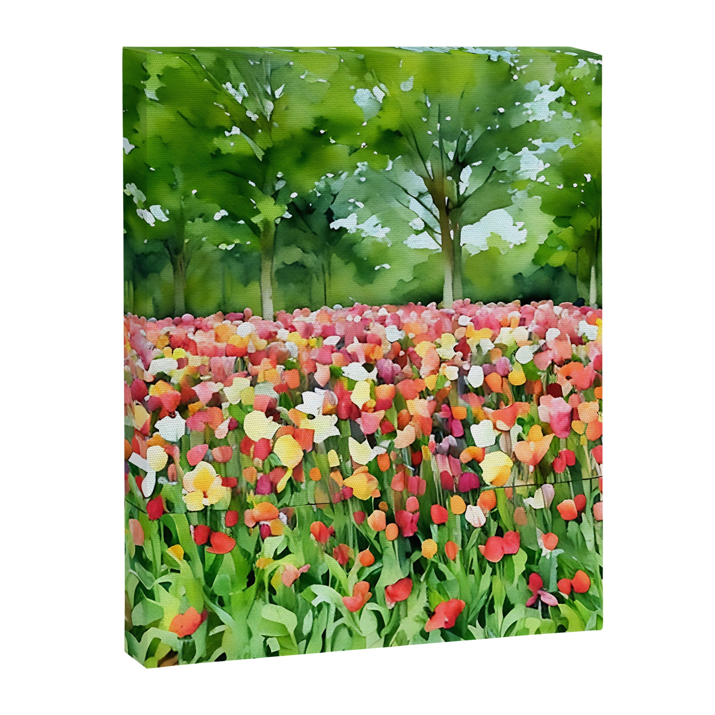 Colorful tulips field Canvas Print Gallery Image 8