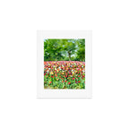 Colorful tulips field Art Print Gallery Image 1