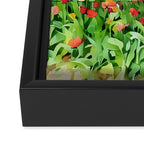 Colorful tulips field Framed Canvas Print Gallery Image 3