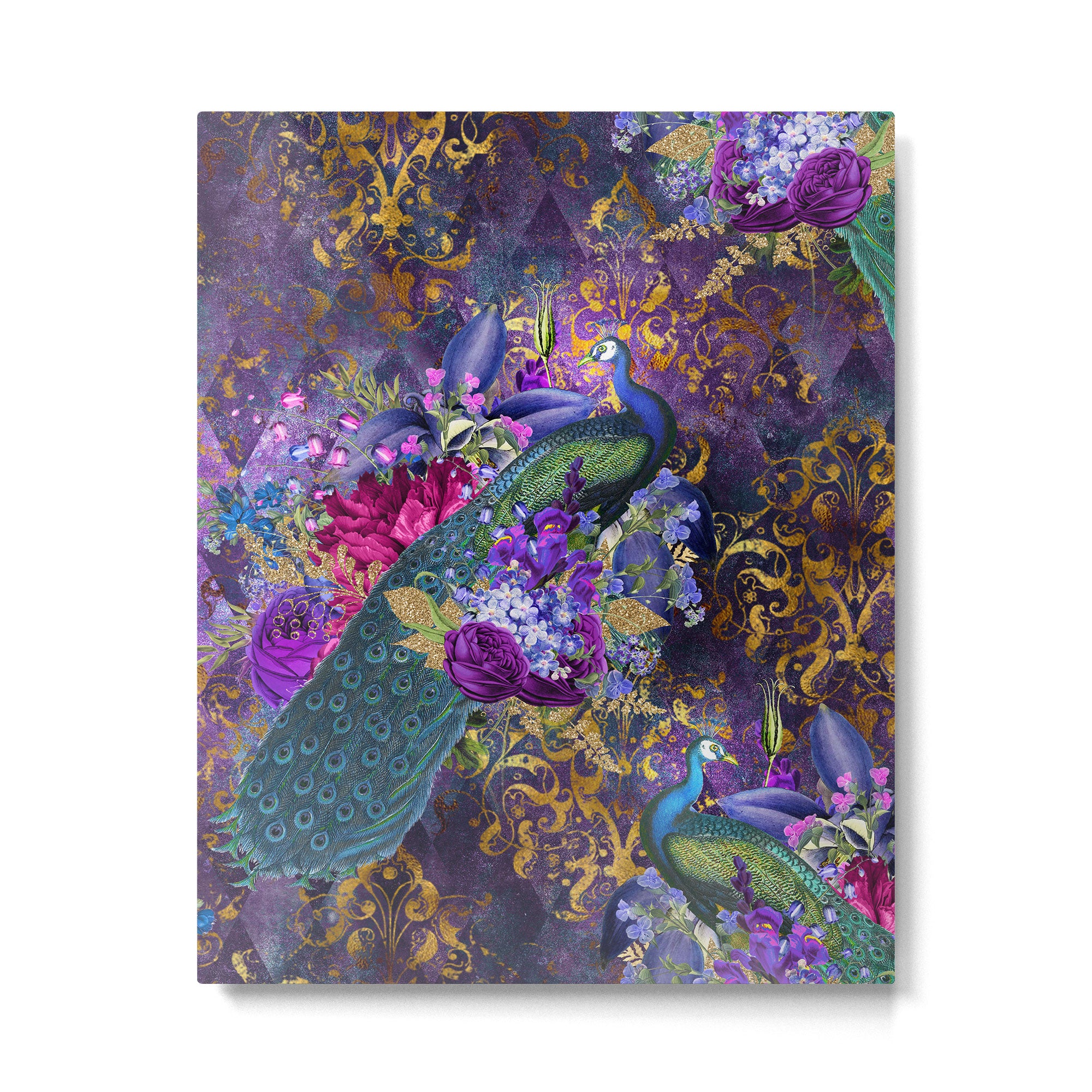 Feather Peacock 29 Metal Print Gallery Image 6