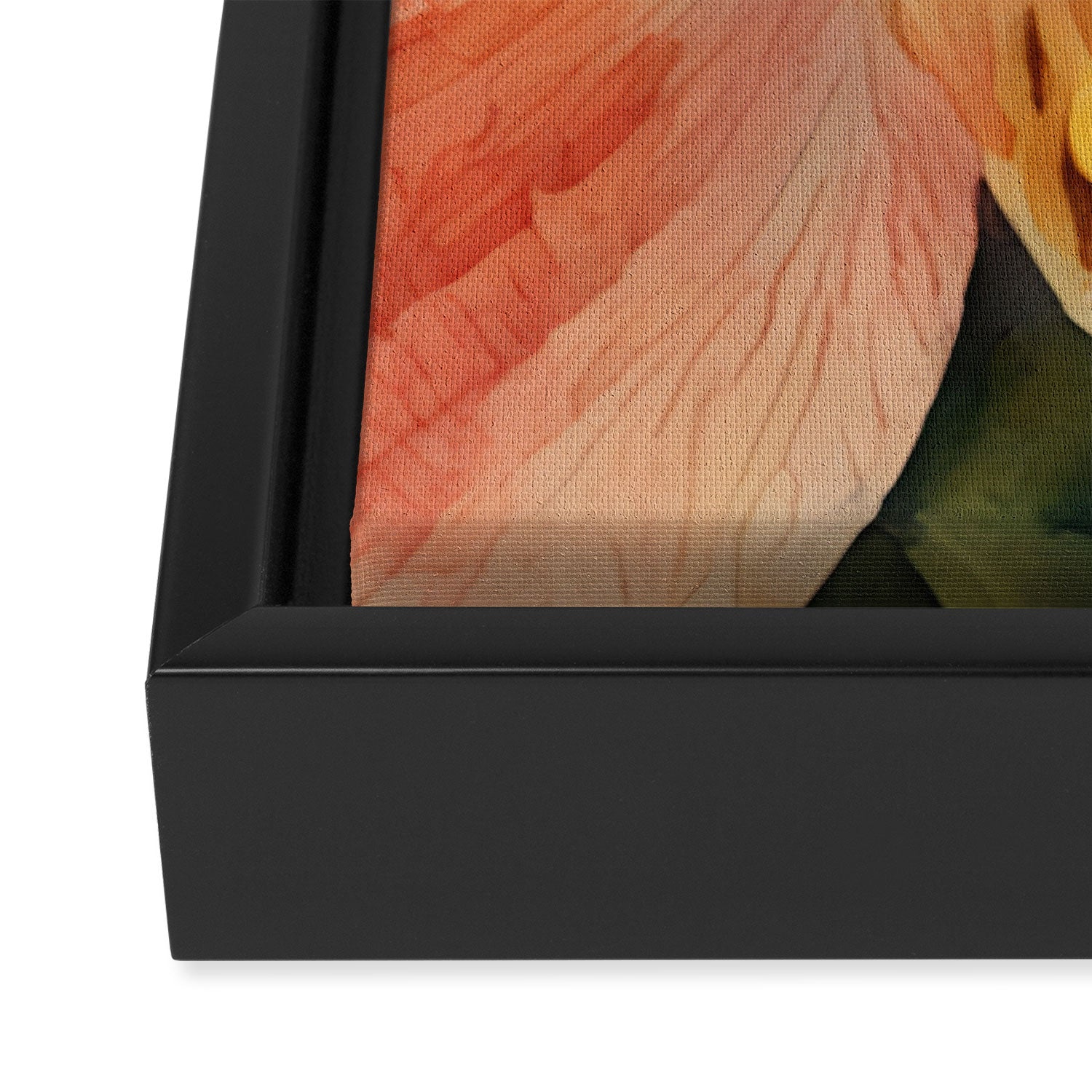 Lily of the Incas Framed Canvas Print Gallery Image 3