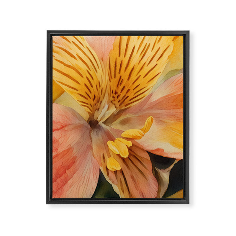 Lily of the Incas Framed Canvas Print Gallery Image 8
