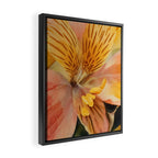 Lily of the Incas Framed Canvas Print Gallery Image 2