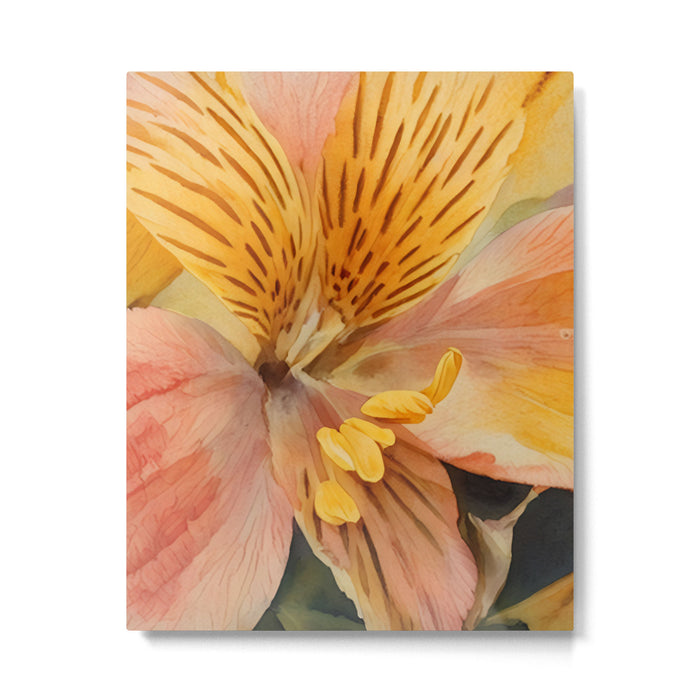 Lily of the Incas Metal Print Gallery Image 1