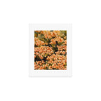 Orange Amarantis  Art Print Gallery Image 1