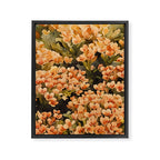 Orange Amarantis  Framed Canvas Print Gallery Image 8