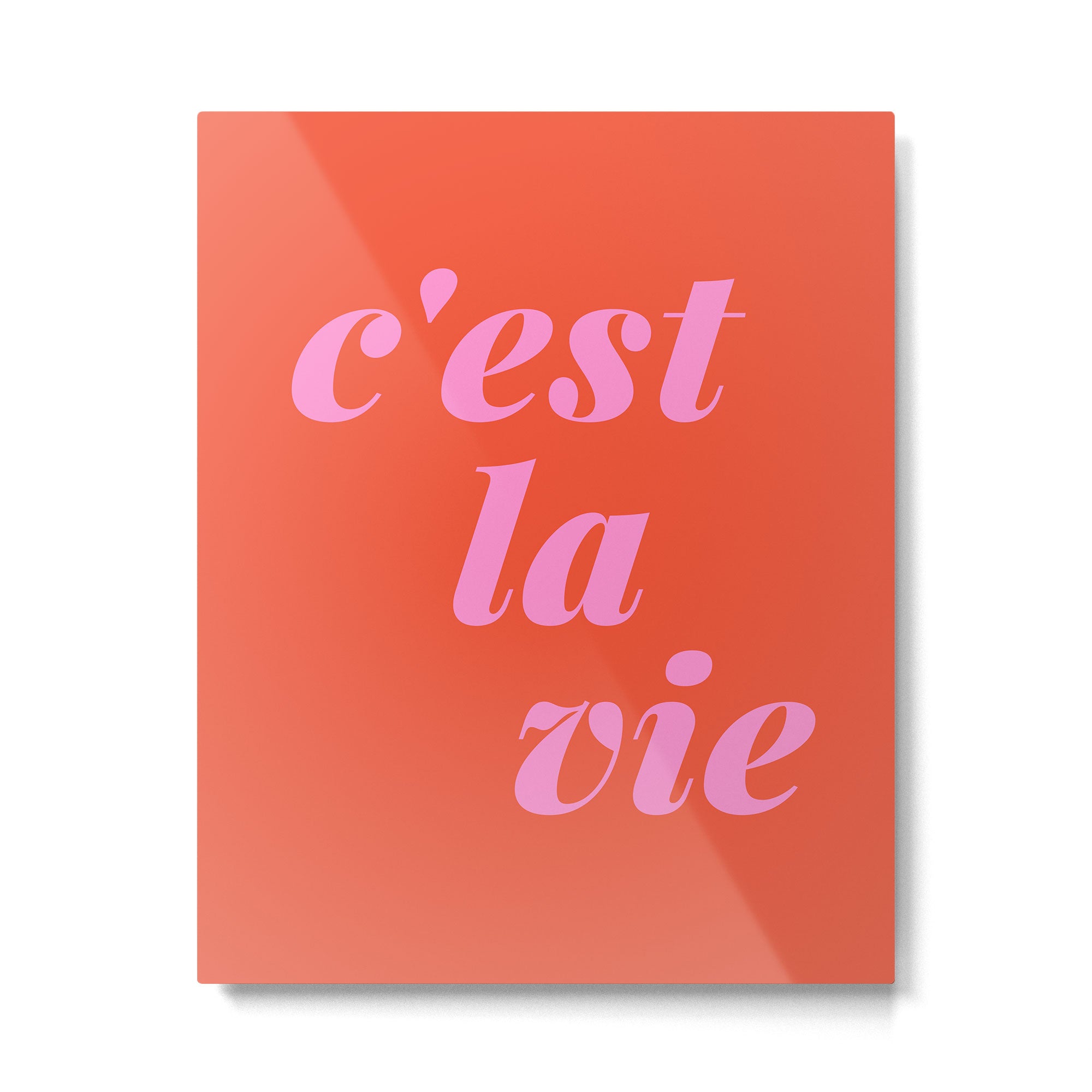 C'est La Vie French Language Saying in Bright Pink and Orange Metal Print Gallery Image 6