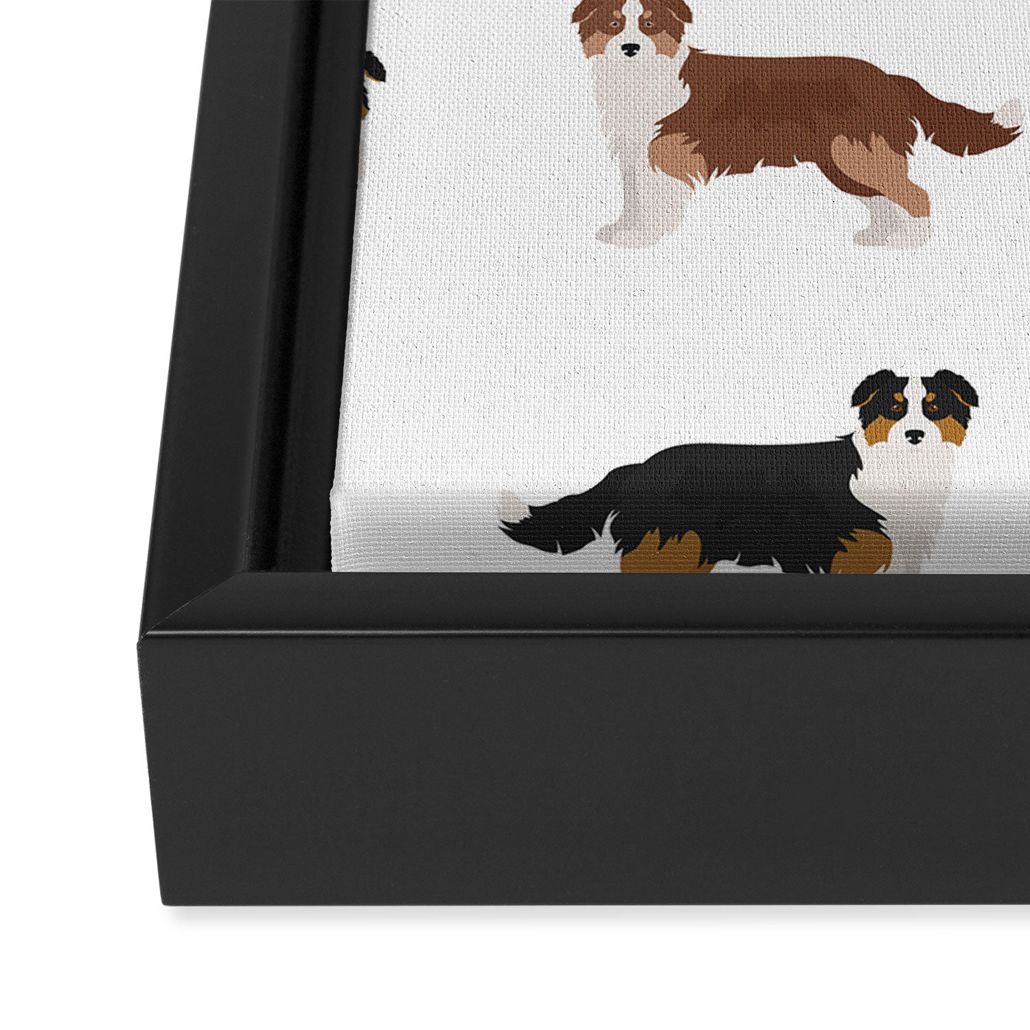 Australian Shepherd Colors Pattern Framed Canvas Print Gallery Image 3