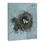 Bird Nest Canvas Print Gallery Image 14