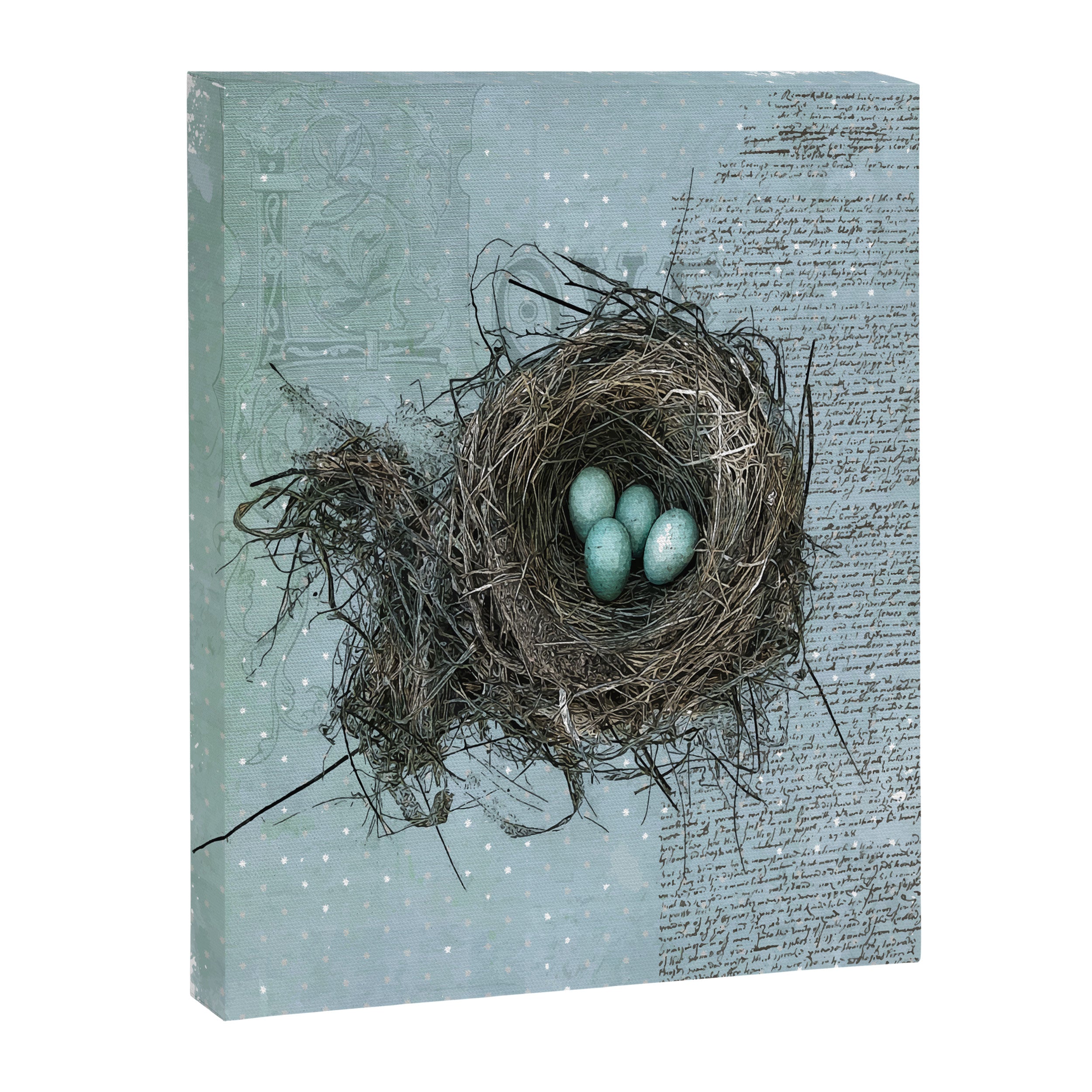 Bird Nest Canvas Print Gallery Image 14